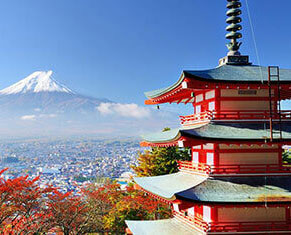 Uganda Safari Experience