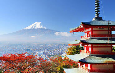 Uganda Gorilla Trekking
